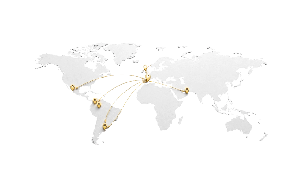 International Lawyers